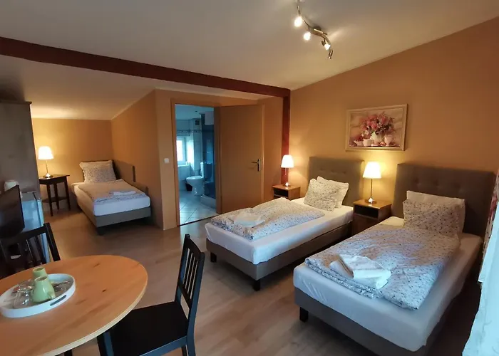 W Starym Ogrodnictwie