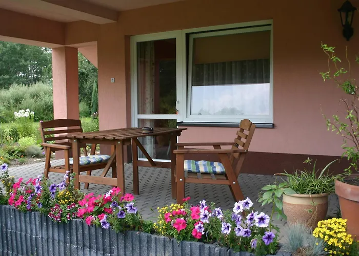 W Starym Ogrodnictwie פז'יז'וביצה