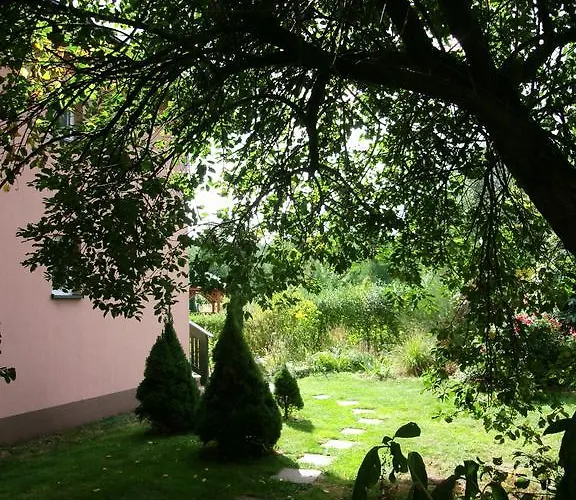 W Starym Ogrodnictwie בית הארחה פז'יז'וביצה